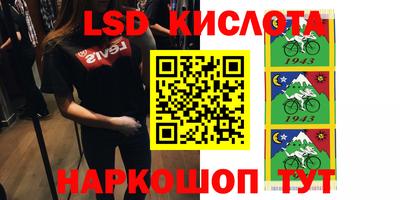 бошки Гагарин