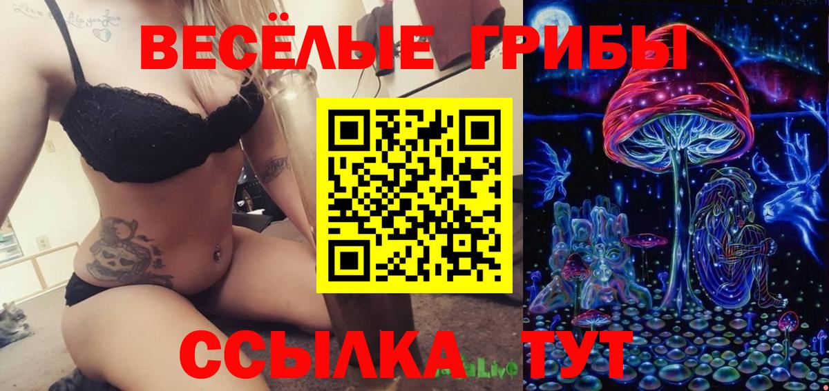 Псилоцибиновые грибы прущие грибы Мурино